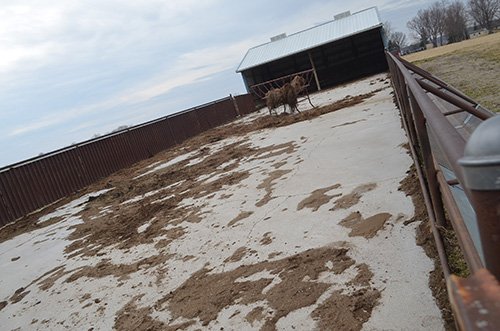 Property photo 60 - REAL ESTATE & FARM EQUIPMENT AUCTION IN ALLEN COUNTY, INDIANA